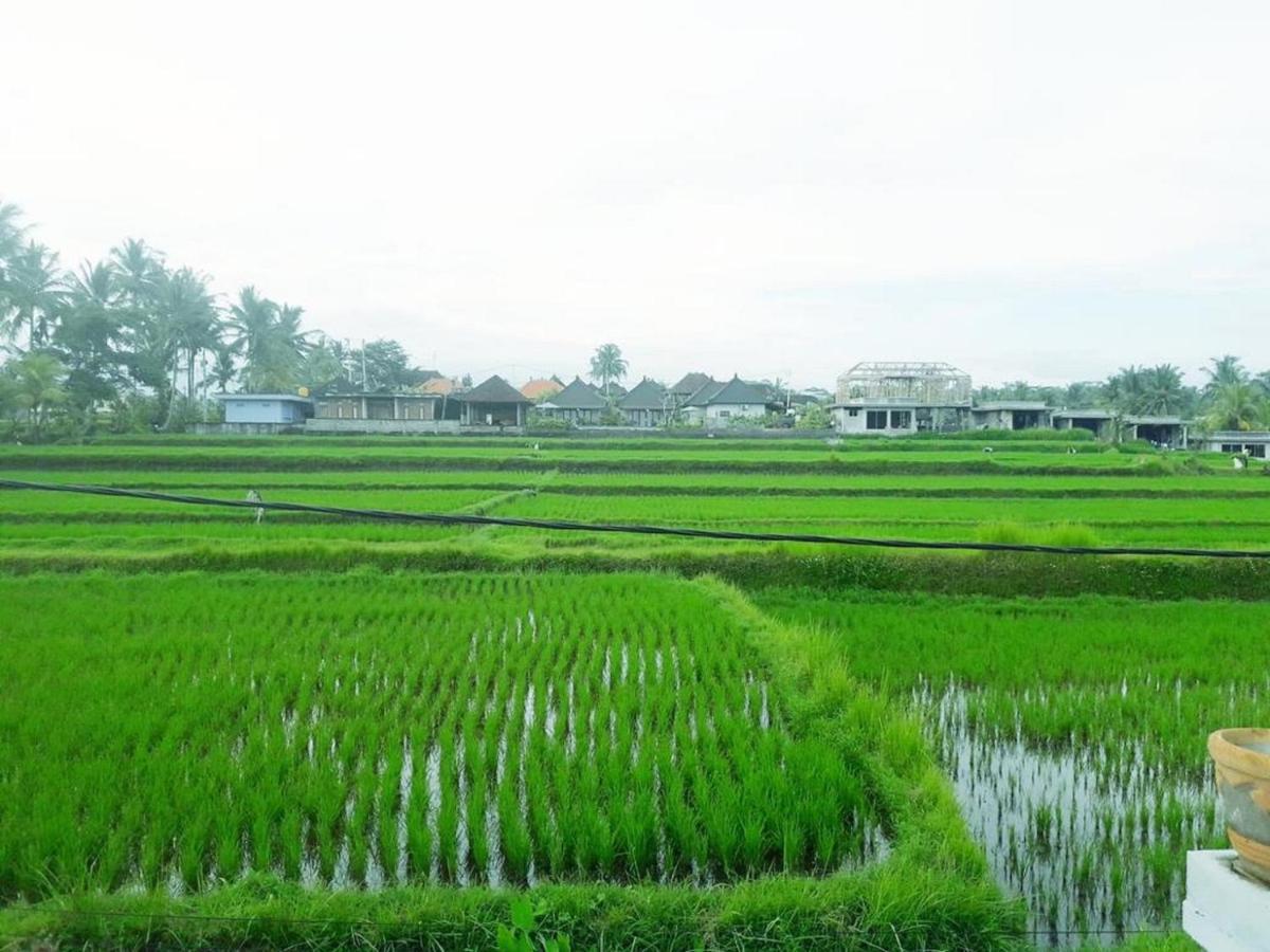 Tantra House Ubud المظهر الخارجي الصورة